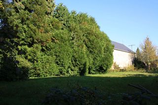 Jardin2