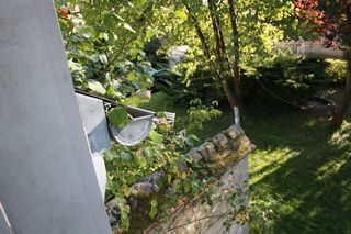 Jardin3